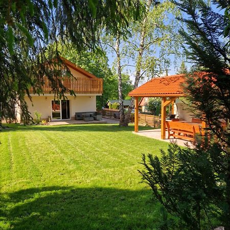 Vila Banki Vendeghaz Exteriér fotografie
